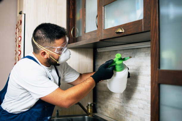 Best Bed Bug Extermination  in Eveleth, MN