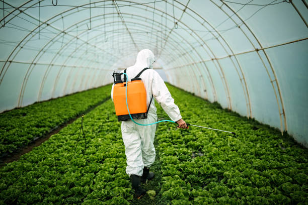 Best Pest Removal Services  in Eveleth, MN