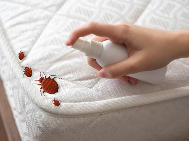 Best Pest Control for Businesses  in Eveleth, MN