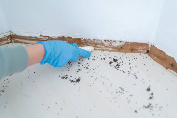 Pest Control for Restaurants in Eveleth, MN