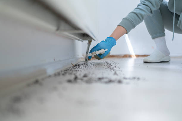 Best Residential Pest Control  in Eveleth, MN