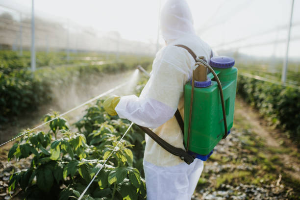 Reliable Eveleth, MN Pest Control Solutions